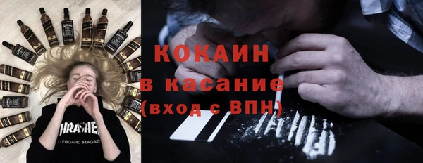 молекула духа Богданович