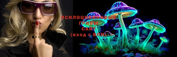 молекула духа Богданович