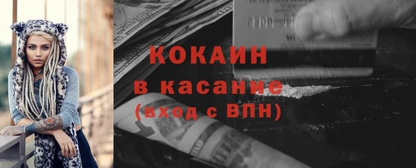 молекула духа Богданович