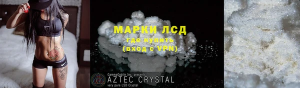 молекула духа Богданович