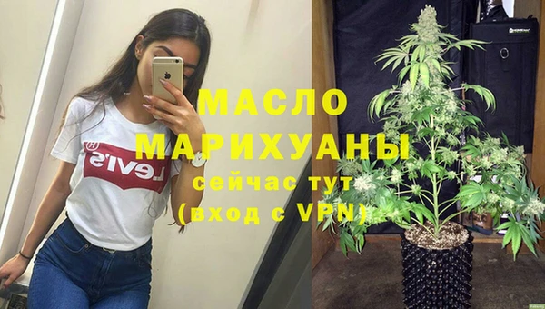 молекула духа Богданович
