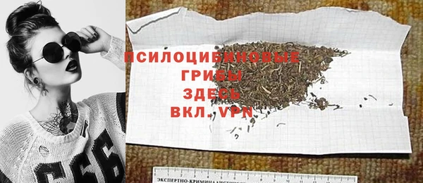 спайс Богородск