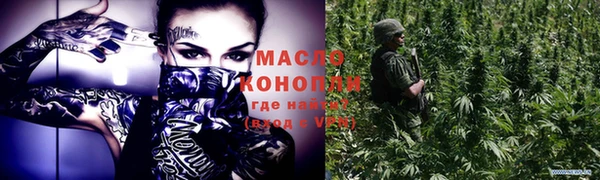 молекула духа Богданович