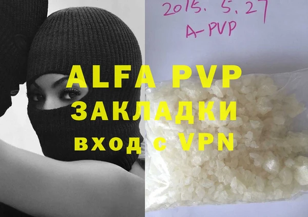молекула духа Богданович