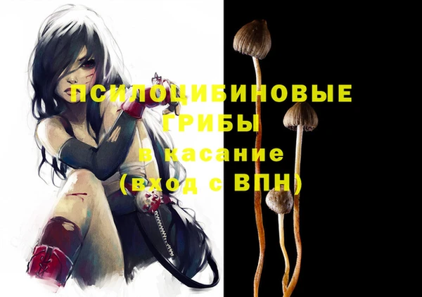 мяу мяу мука Богородицк